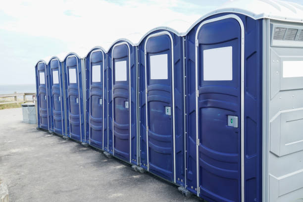 Best Portable Restroom Servicing (Cleaning and Restocking)  in Dundee, NY